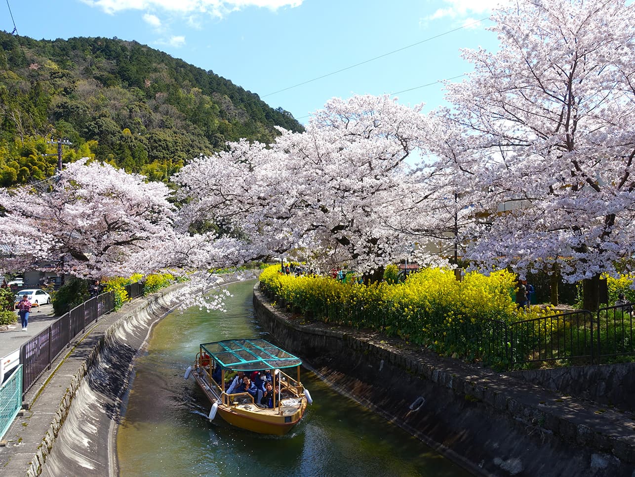 京都市山科区